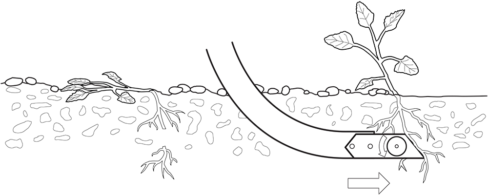 Drawing of a rod weeder underground