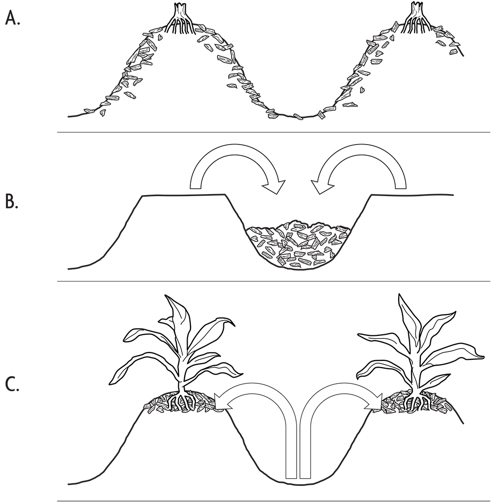 ridge tillage diagram
