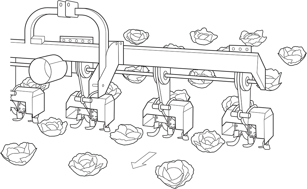 rotary cultivator drawing spanning over 4 crop rows
