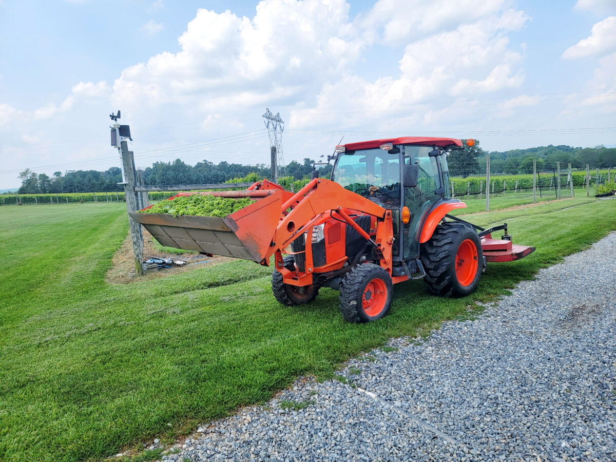 A tractor leaded with greens in the front