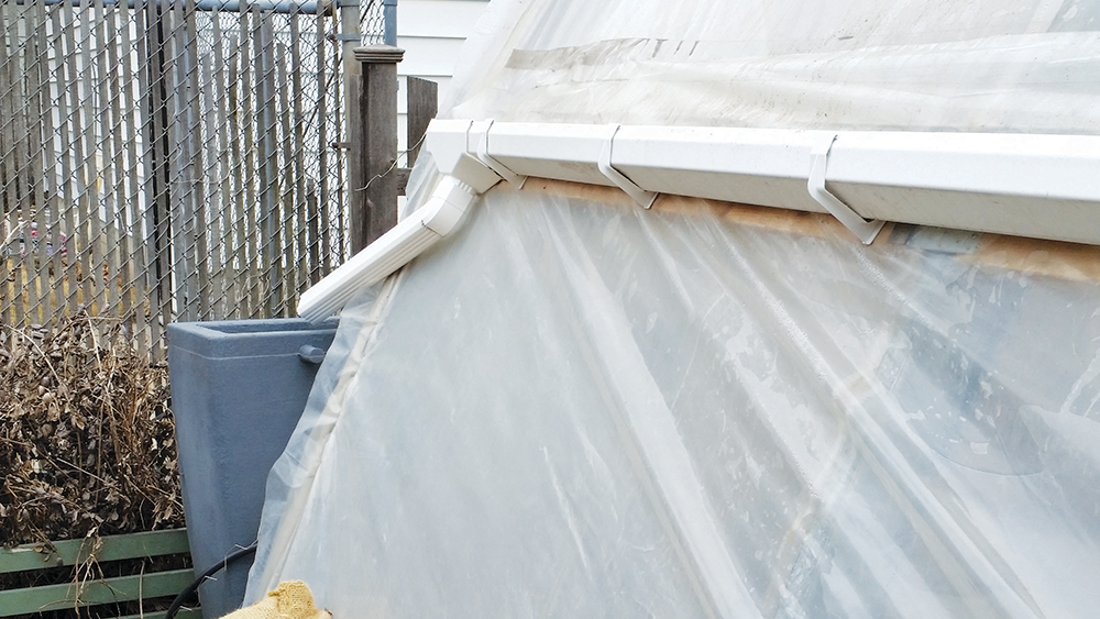 Gutters of a white tarp from a high tunnel, draining water into a bin