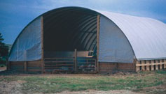 Pig production costs have been reduced by about $4 per hog in hoop barns, built at a fraction of the bill to erect a confinement structure.