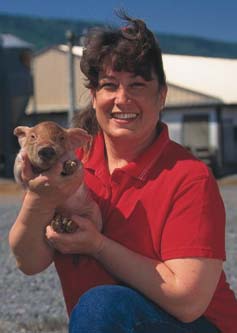 Pennsylvania hog producer Barbara Wiand, who received a SARE grant to explore new ways to market pork