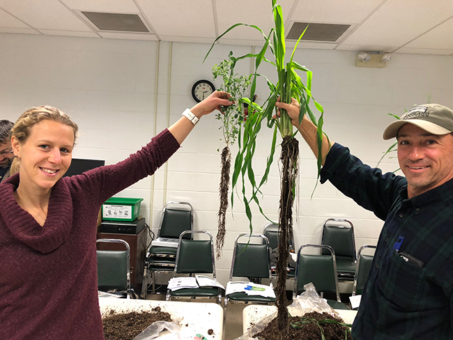 People holding up crop plants with roots