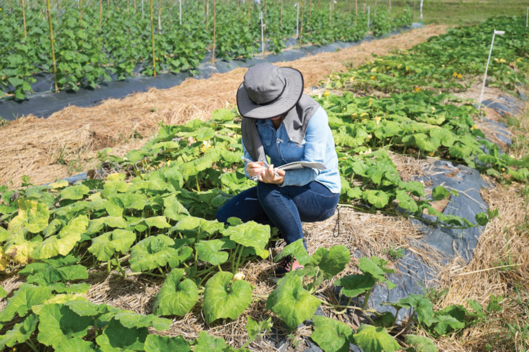 Front Cover A woman recording data in the field