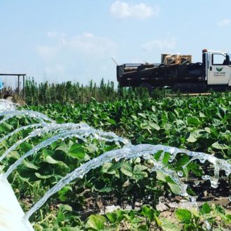 irrigating soybeans irrigating soybeans in a green field