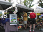 jackson72.jpg People walking around a farmers market