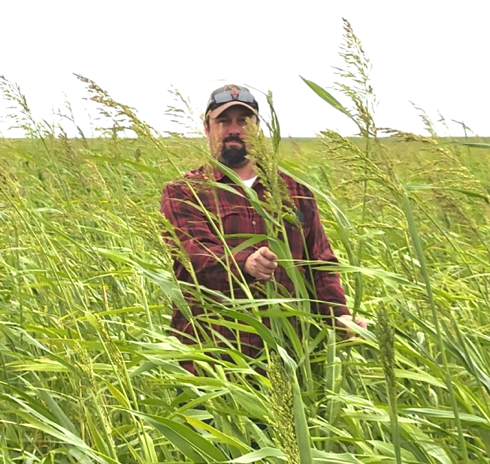 Kyle Wasson is standing in a field of cover crops that mostly appear to be grasses at the flowering stage. Many plants are taller than him.