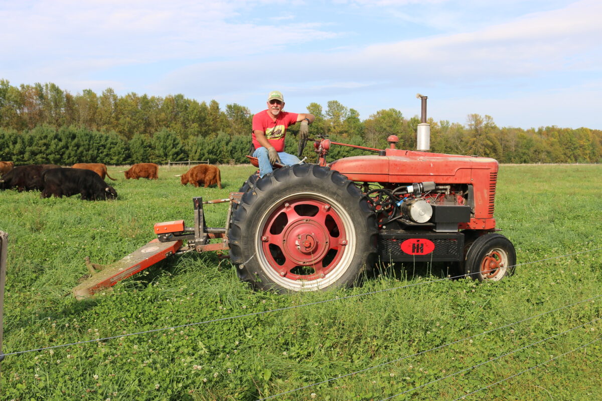 A man sitting on a red tractor in a pasture