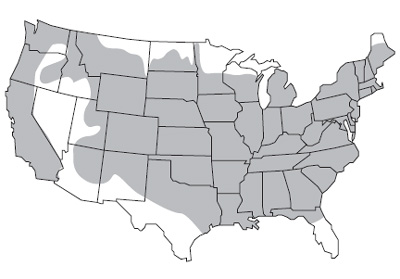 United States map of winter wheat growth