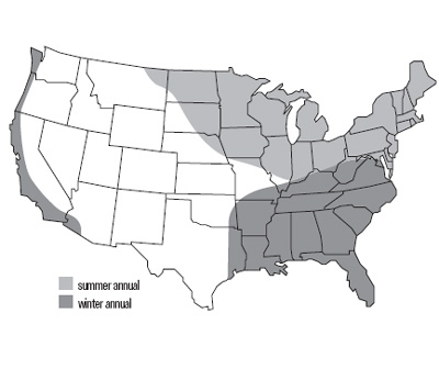 United States map of berseem clover growth