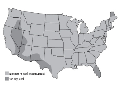 United States map of buckwheat growth