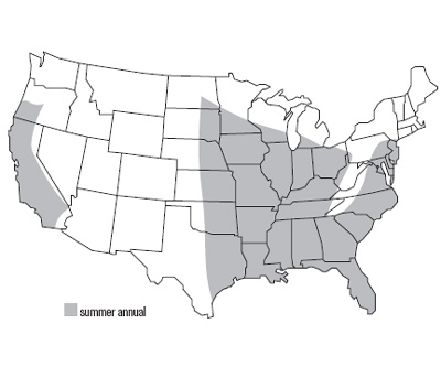 United States map of cowpea growth
