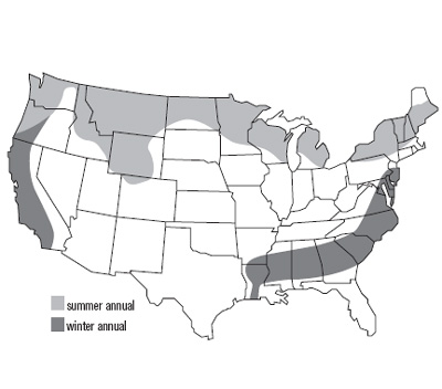 United States Map of Field Pea Growth