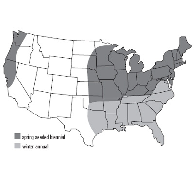 United States map of red clover