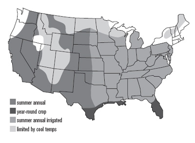 United States Map of Sorghum Sudangrass Growth