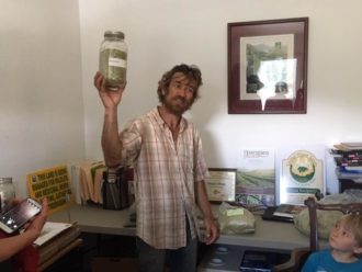 medicinal herbs medicinal herbs in a jar