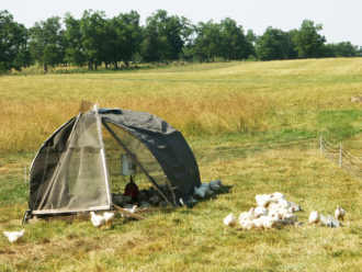 Este refugio portátil