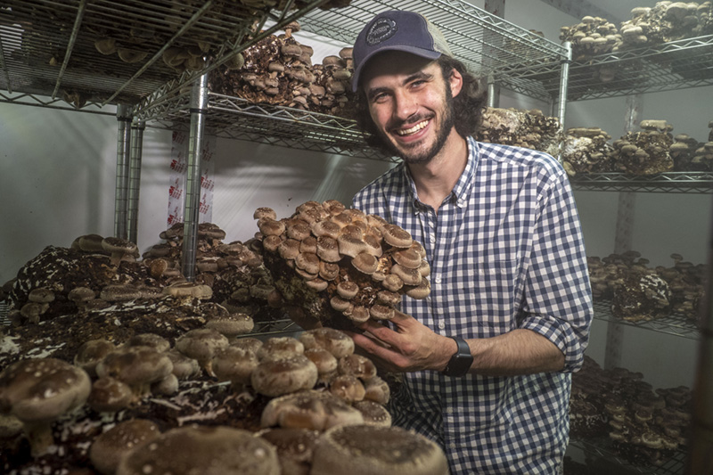 A young farmer posing with his mushroom crops growing on shelves inside a cooling unit