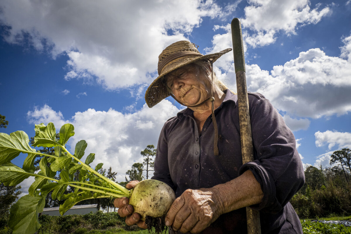 An older woman is looking at a turnip she just harvested