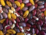 organic-beans.jpg