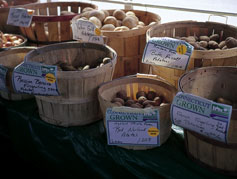 organic produce in high end restaurants and farmers markets