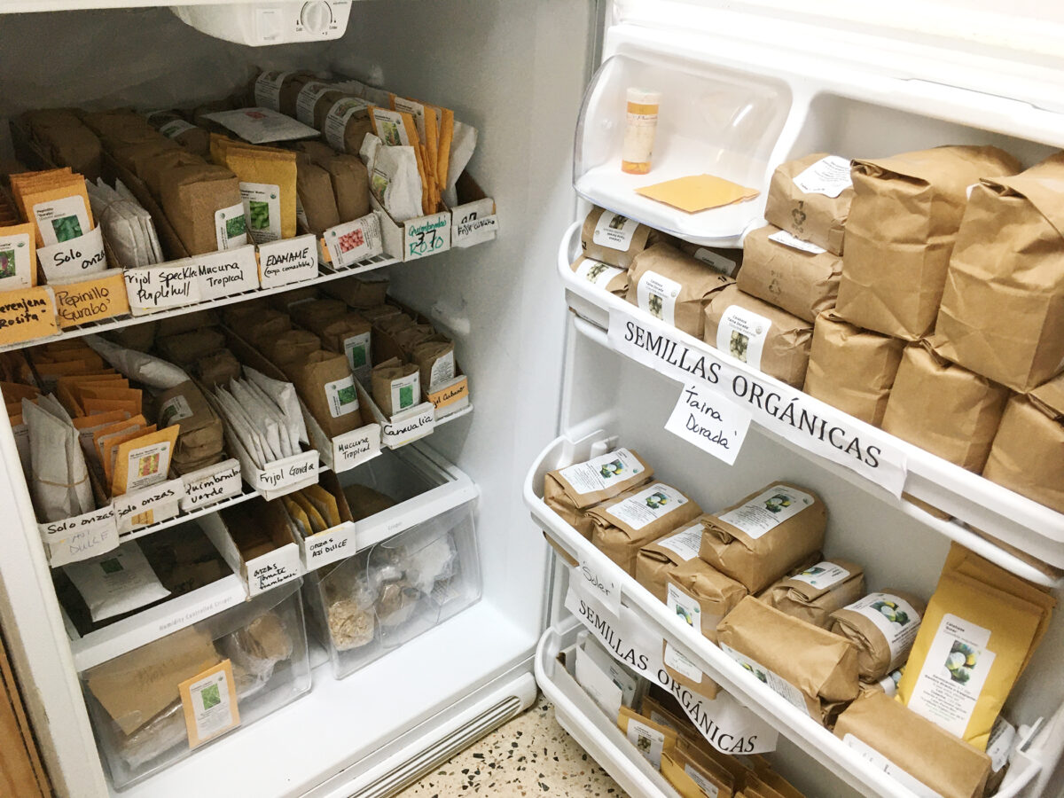 packets of seeds stocked in a refrigerator.