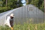 Virginia farmer Patrick Johnson