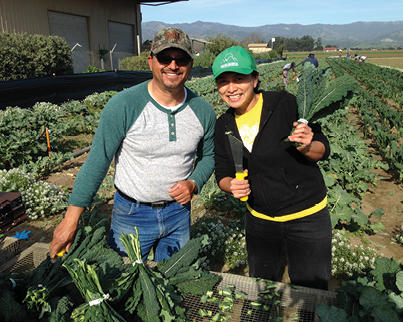 farmers Two farmers holding a harvested green crop