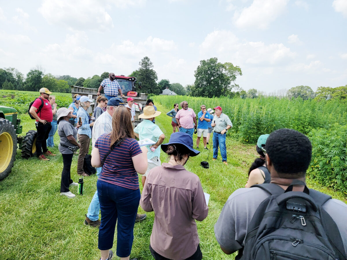 People standing in a field