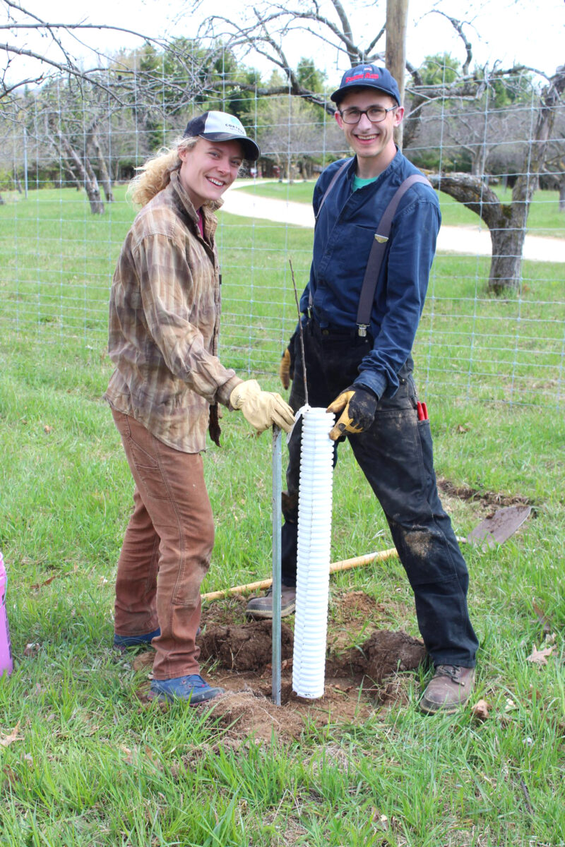 Two people pose with a tree sapling planted in a field
