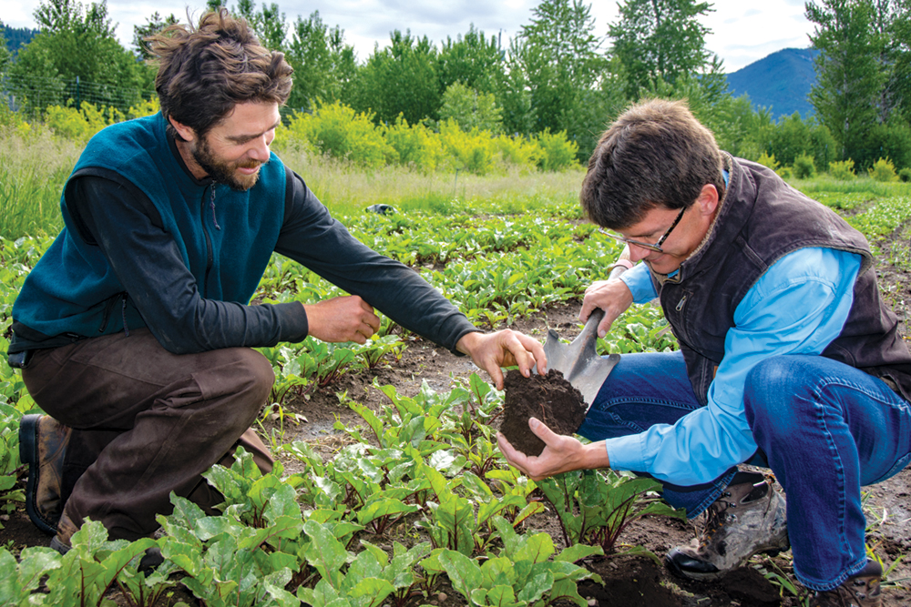 Two people kneeling in a field inspecting a shovelful of soil.