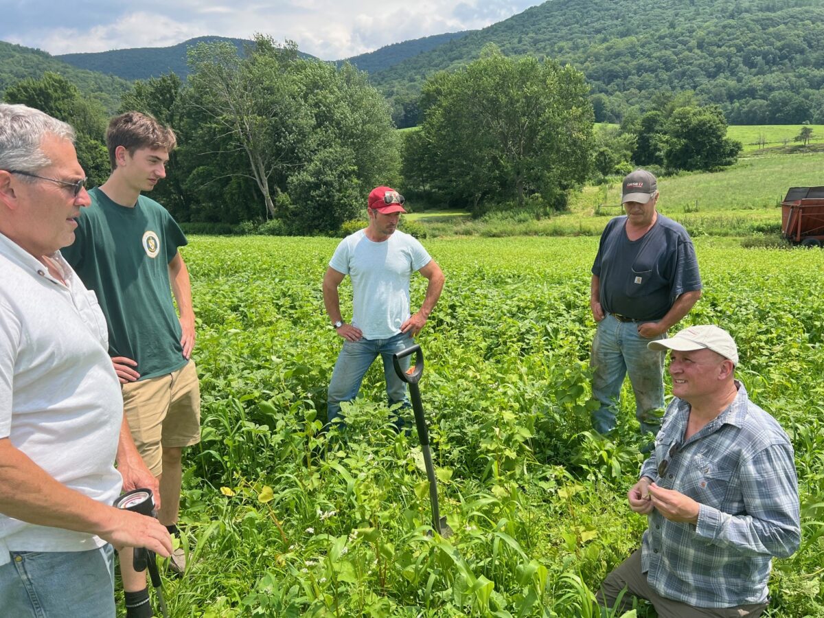 A group of men standing around a shovel in a field