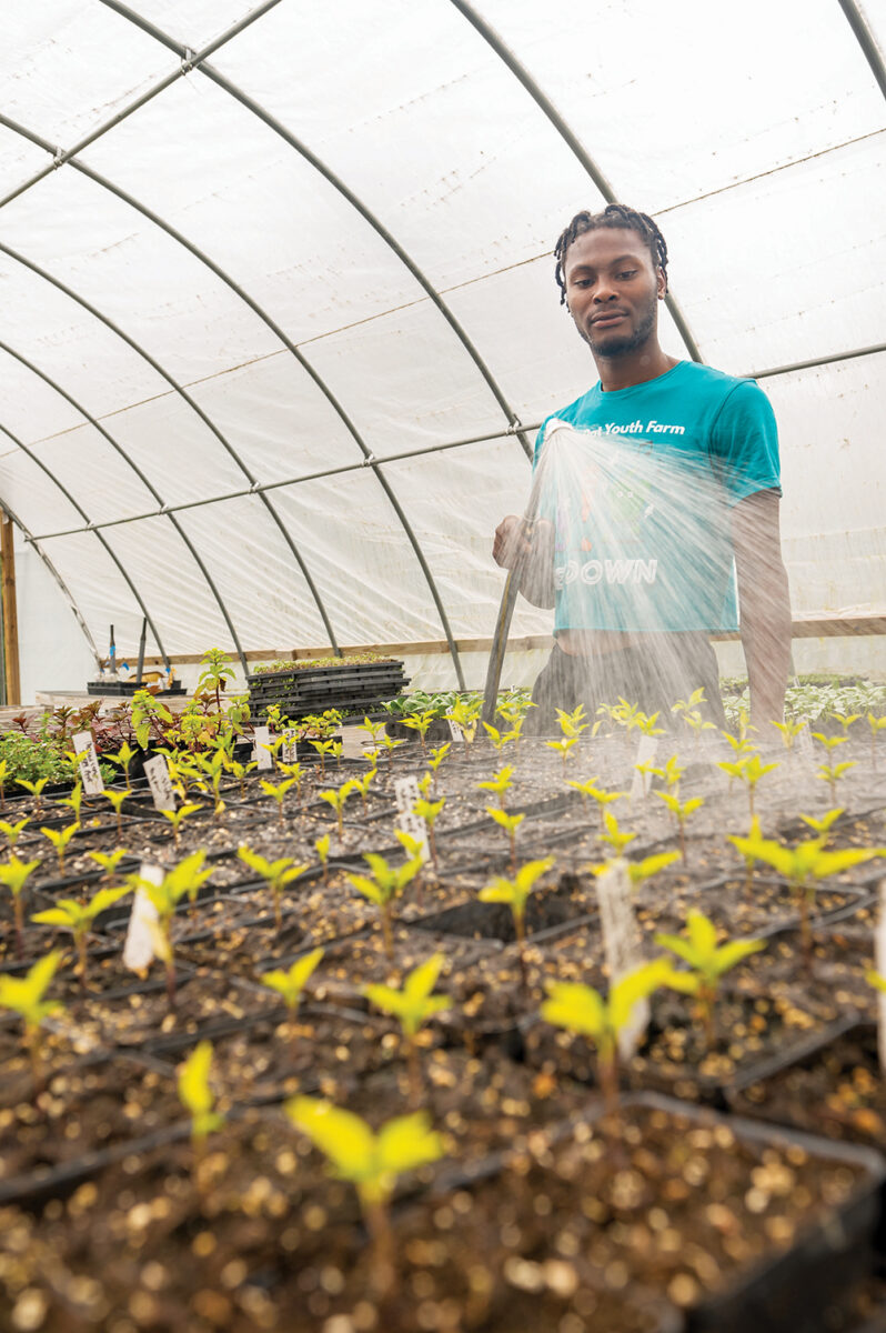 A guy watering sprouts with a hose inside of a greenhouse