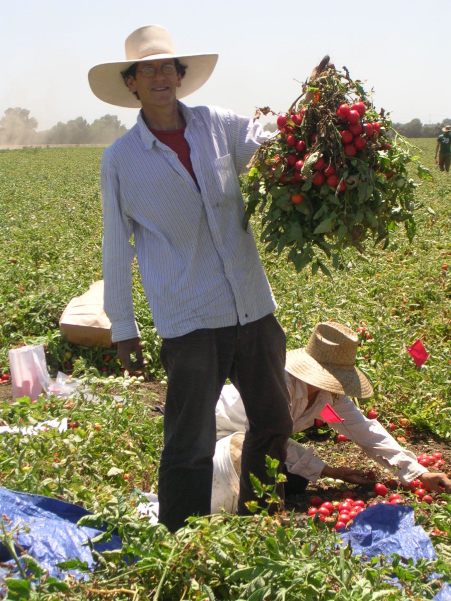 Man holding tomatoes Man holding tomatoes