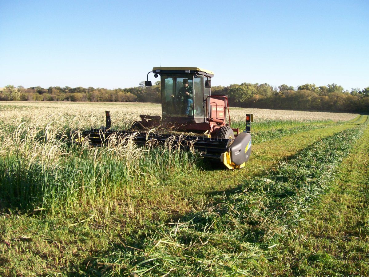 Tractor mowing hay Tractor mowing hay