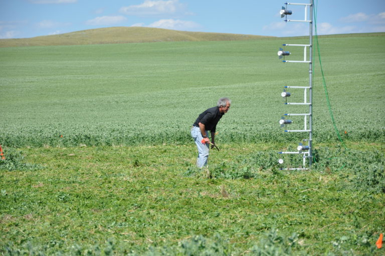 Man looking at measurement equipment in a field