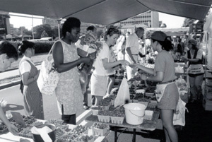 One way to market your product is by selling it at a local farmer’s market.