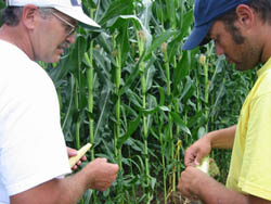 Ron (left) and David Rosmann use long rotations and minimum tillage to grow healthy crops, resulting in minimal pest problems.