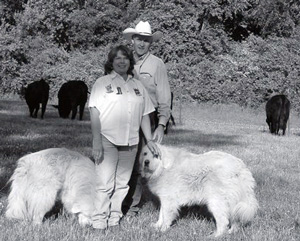 After eight years of research and testing, Bill and Di Hodge successfully developed a “consumer-acceptable product from pasture.”