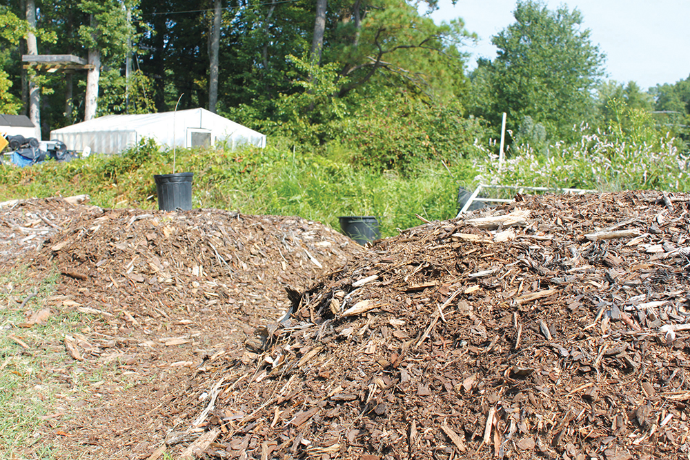Mulch piled up in a field after being used for a weed experiment