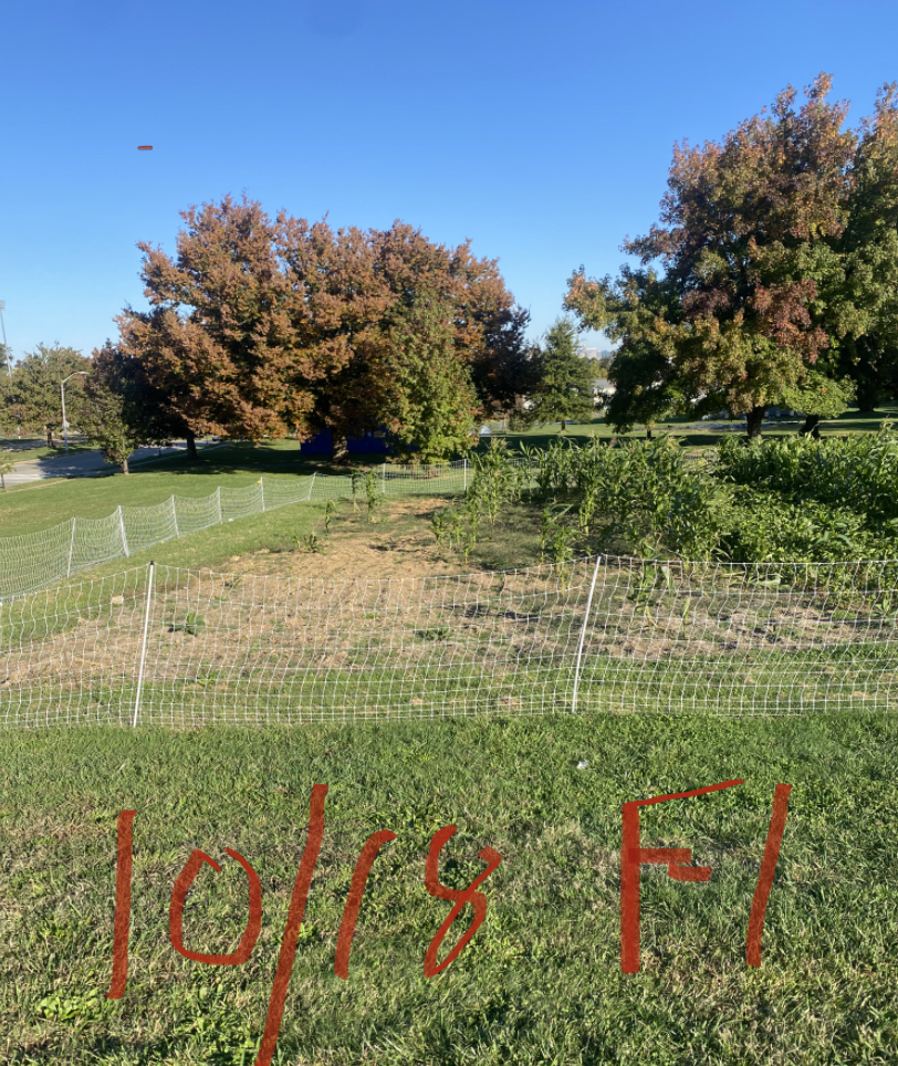 Picture of a field with handwritten F1 10/18 written overtop