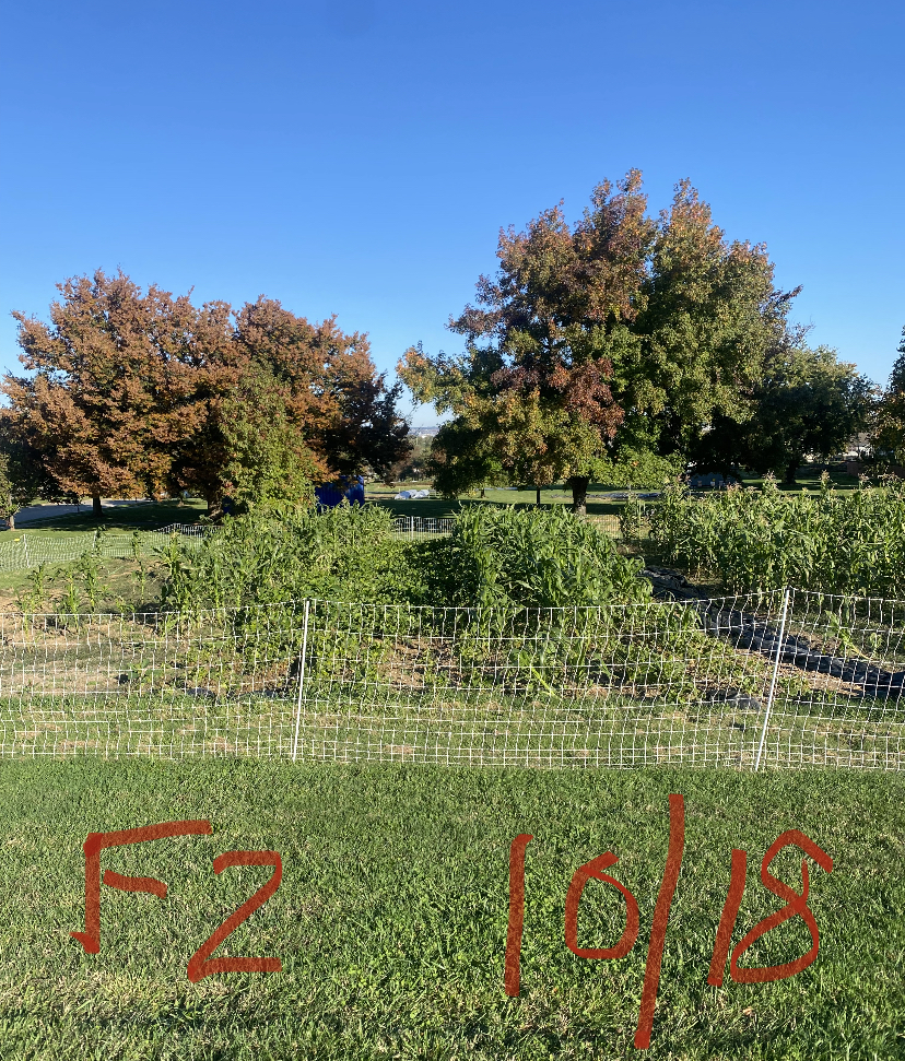 Picture of a field with handwritten F2 10/18 written overtop