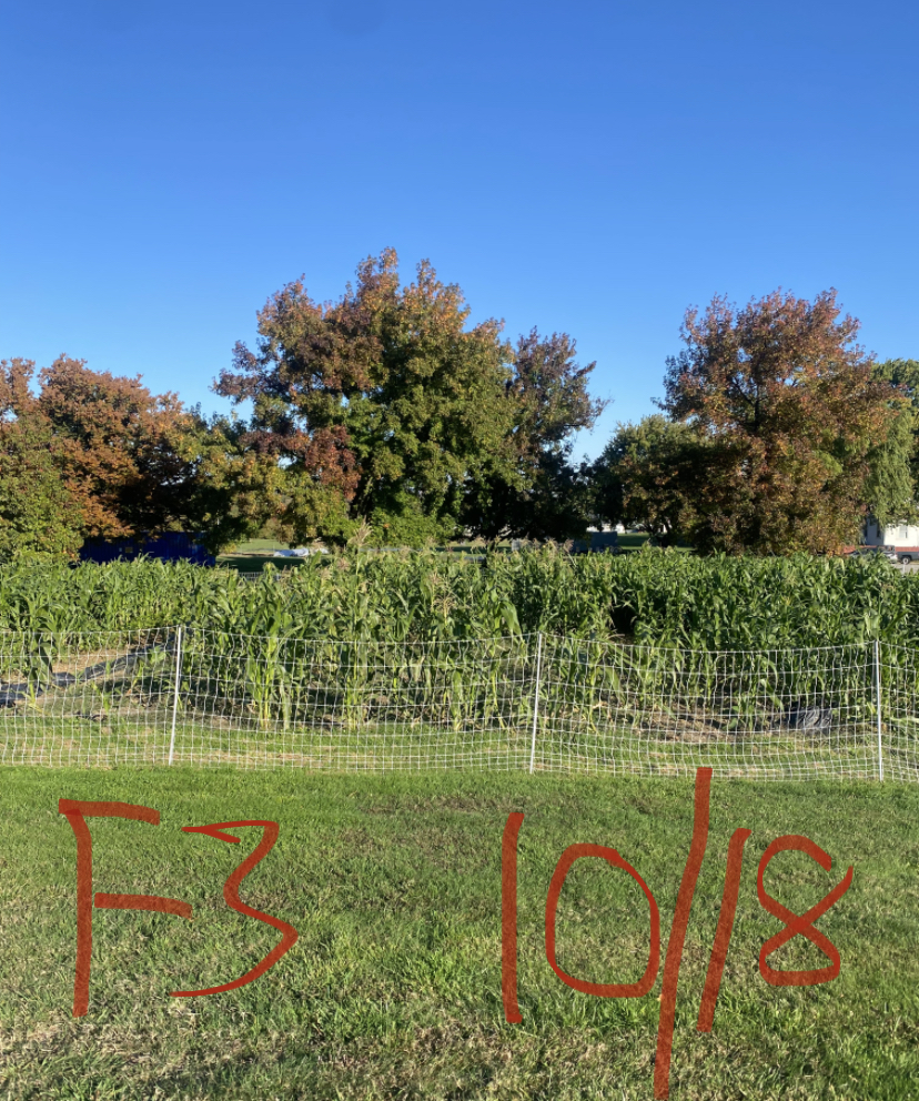 Picture of a field with handwritten F3 10/18 written overtop