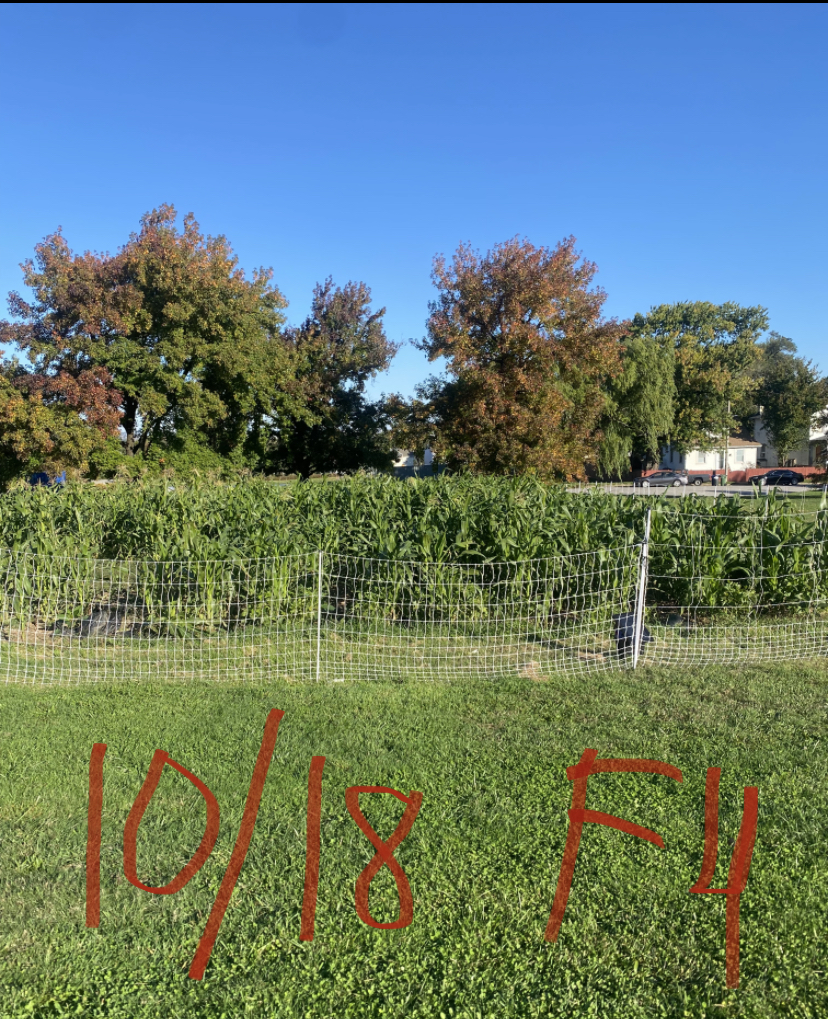Picture of a field with handwritten 10/18 F11 written over it