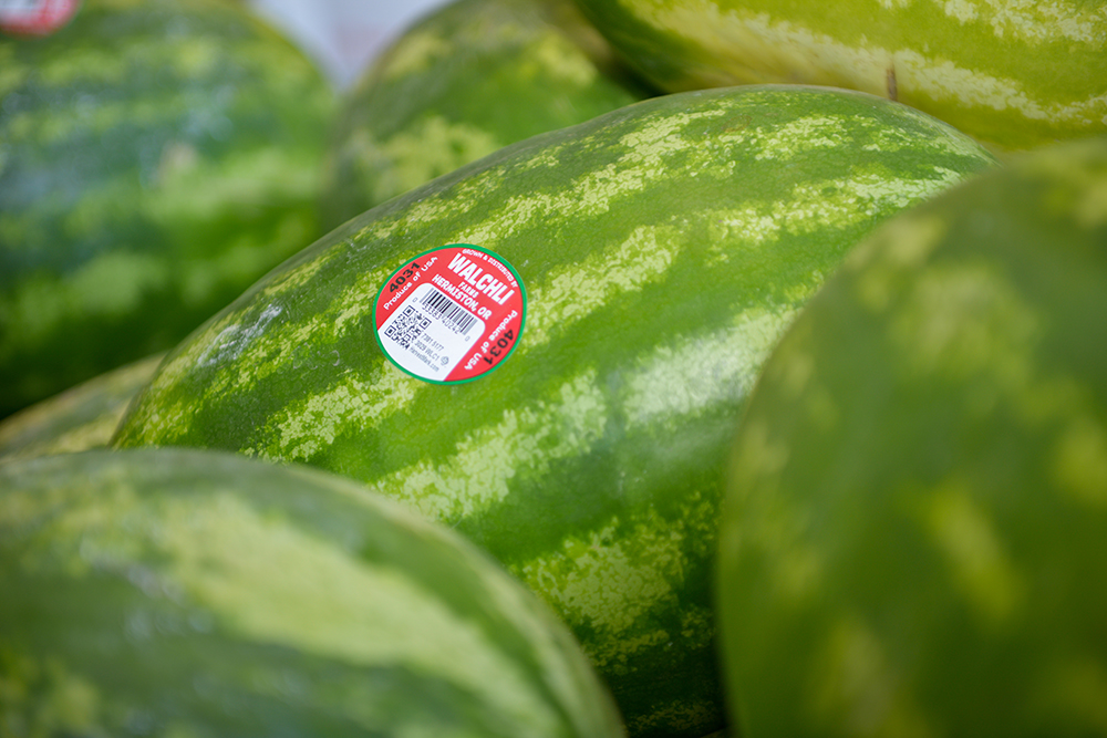 A PLU sticker on a watermelon.