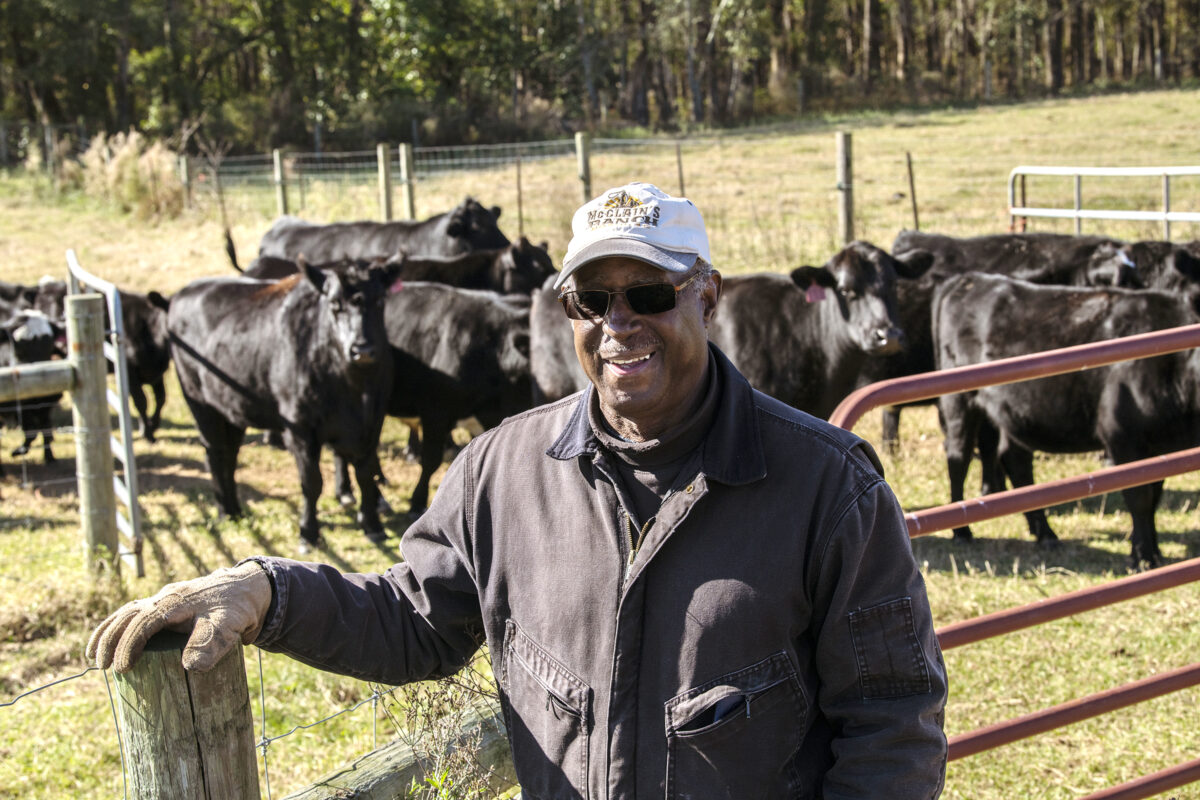 A man stands outside a corral that is full of cows