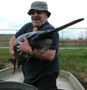Reservoir ranched paddlefish.