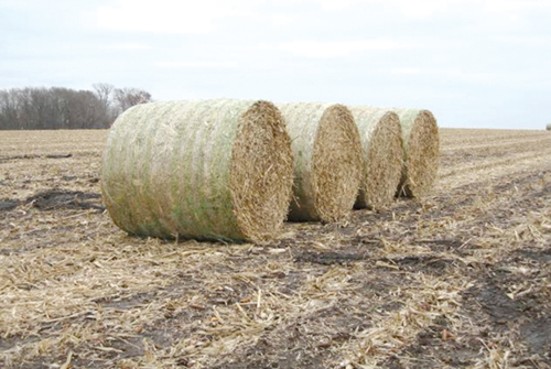 four large bales of hay in a field
