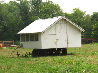White shelter House for chickens in a grazing field